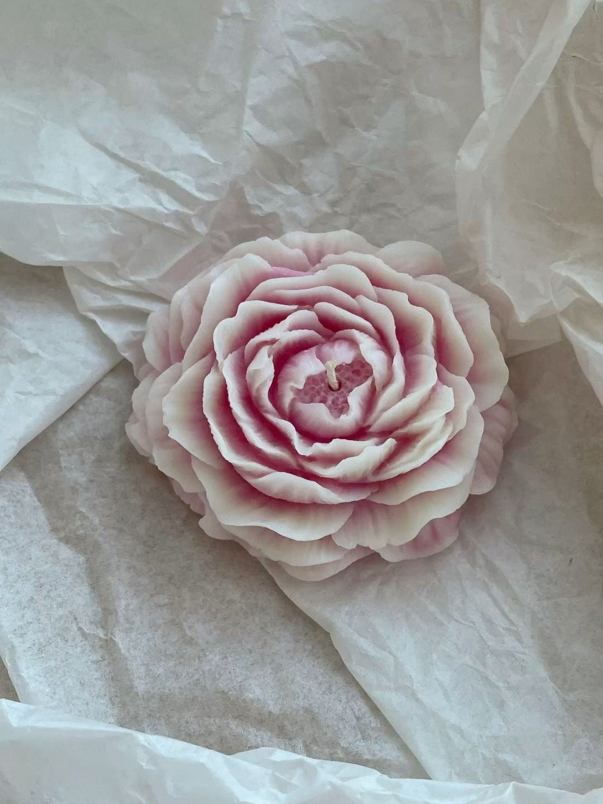 Keran - Sweet Peony