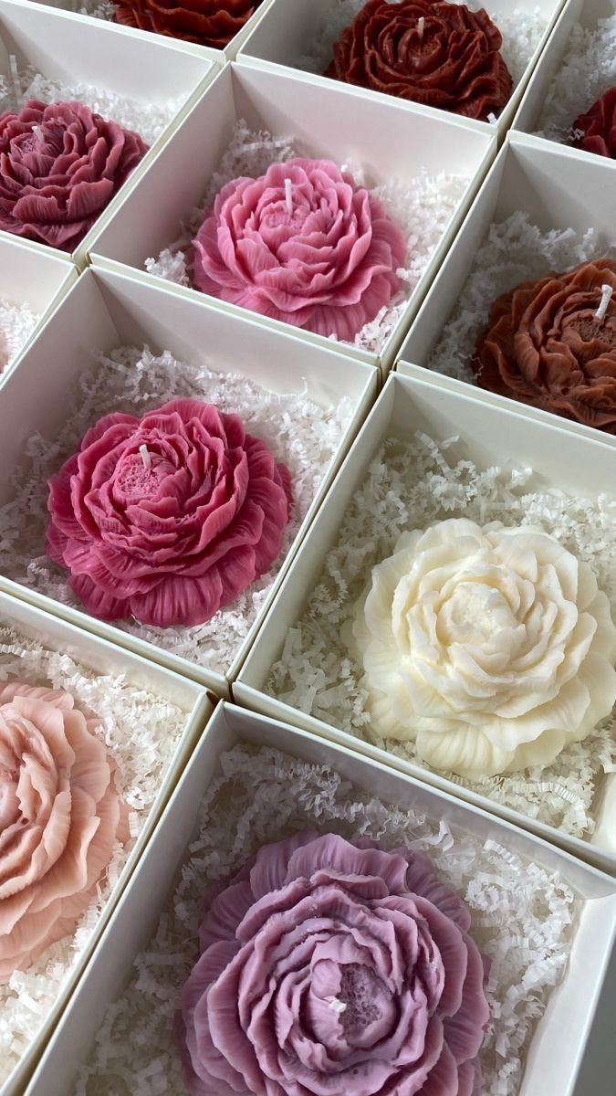 Keran - Sweet Peony